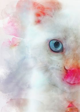 White Blue Eyes Cat