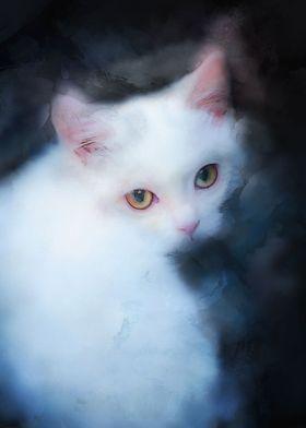 White beautiful kitten