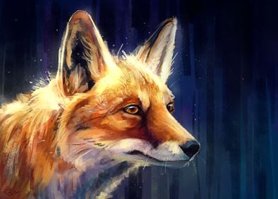 Animal Fox