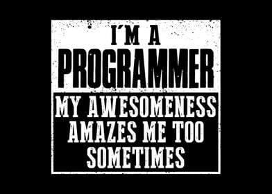 Im a programmer