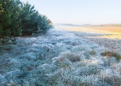 Frosty Frost Rural Season 