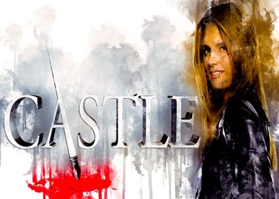 Castle 2009 36