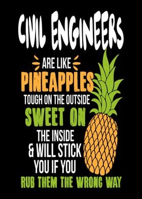 Civil Engineers Pineapples