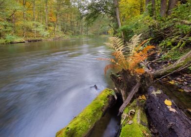 Scenery Scenic River Polan