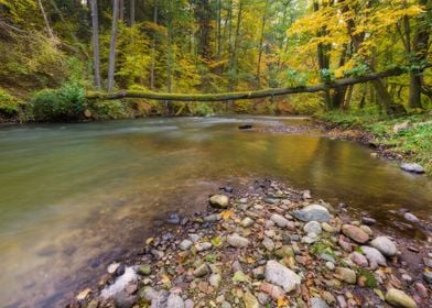 Season Landscape River Pol