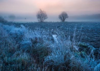 Frosty Frost Rural Season 