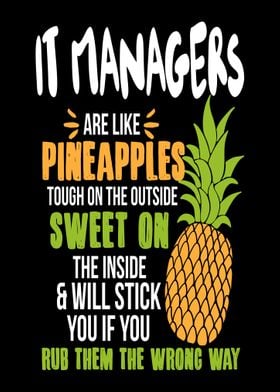 IT Managers Pineapples