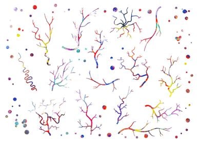 Blood vessels of eye