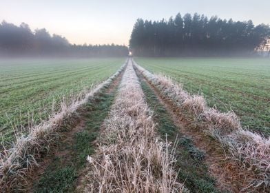 Frosty Frost Rural Season 