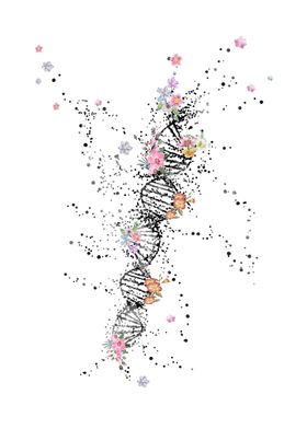 DNA molecule 