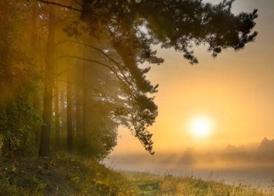 Morning Rural Misty Mist L