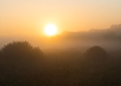 Morning Rural Misty Mist L