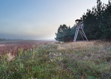 Nature Rural Misty Mist La