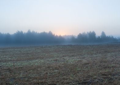 Field Meadow Sunset Outdoo