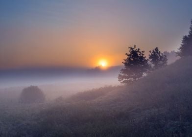 Morning Rural Misty Mist L