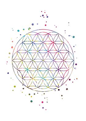 Flower of Life 