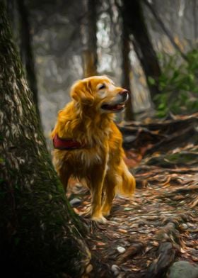 Golden Retriever In Nature