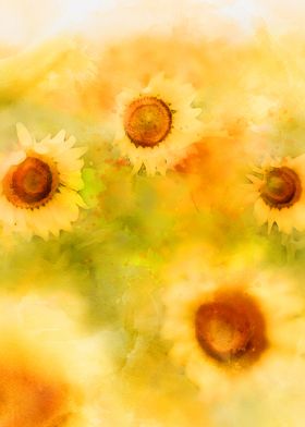 Field of sunflowers