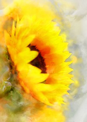 Yellowish sun flower