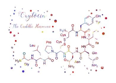 The Cuddle Hormone 