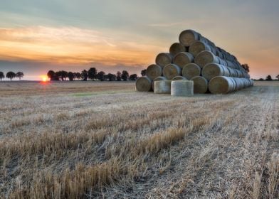 Agriculture Nature Harvest