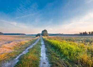 Field Meadow Sunset Outdoo