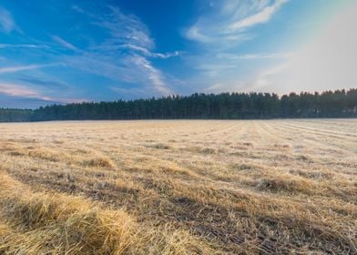 Agriculture Background Blu