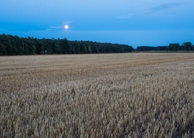 Agriculture Nature Harvest