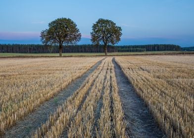 Agriculture Nature Harvest