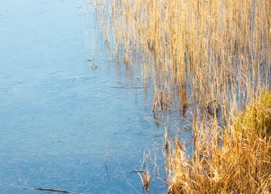 Frozen Ice Lake Water Cold