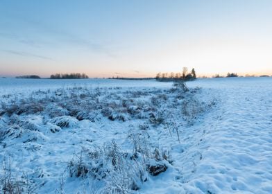 Landscape Frost Field Sky 