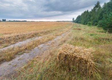 Agriculture Nature Harvest