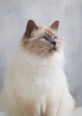 Birman