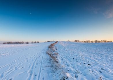 Landscape Frost Field Sky 