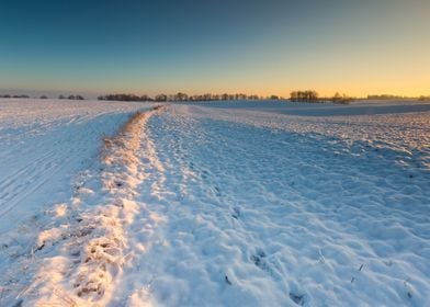 Landscape Frost Field Sky 