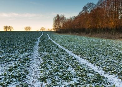 Landscape Frost Field Sky 