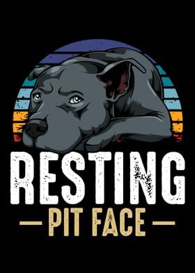 Resting Pit Face Pitbull D