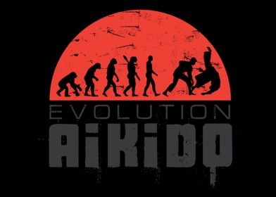 Aikido Evolution  Martial