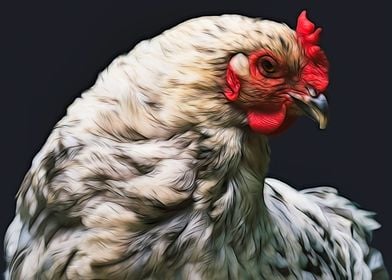 Hen CloseUp