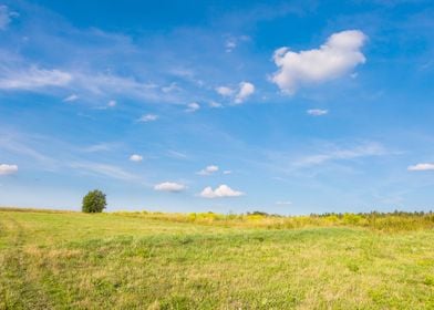 Landscape Land Green Field