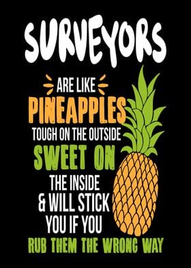 Surveyors Pineapples