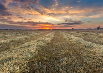 Agriculture Nature Harvest