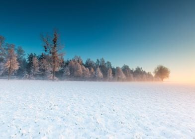 Landscape Frost Field Sky 