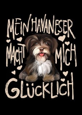 Havaneser gluecklich