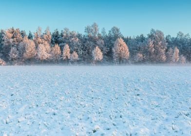 Landscape Frost Field Sky 