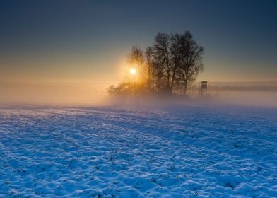 Landscape Frost Field Sky 