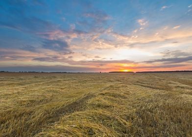 Agriculture Nature Harvest