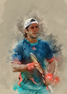 Fernando Verdasco