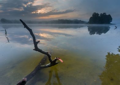 Lake Foggy Fog Tree Mist S