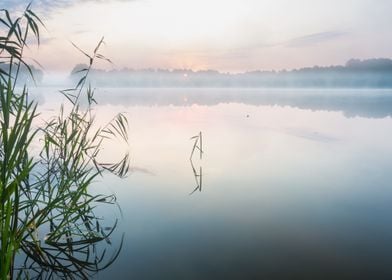 Landscape Morning Lake For